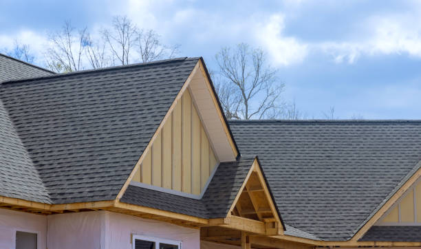 Best Asphalt Shingle Roofing  in Franklin Park, NJ